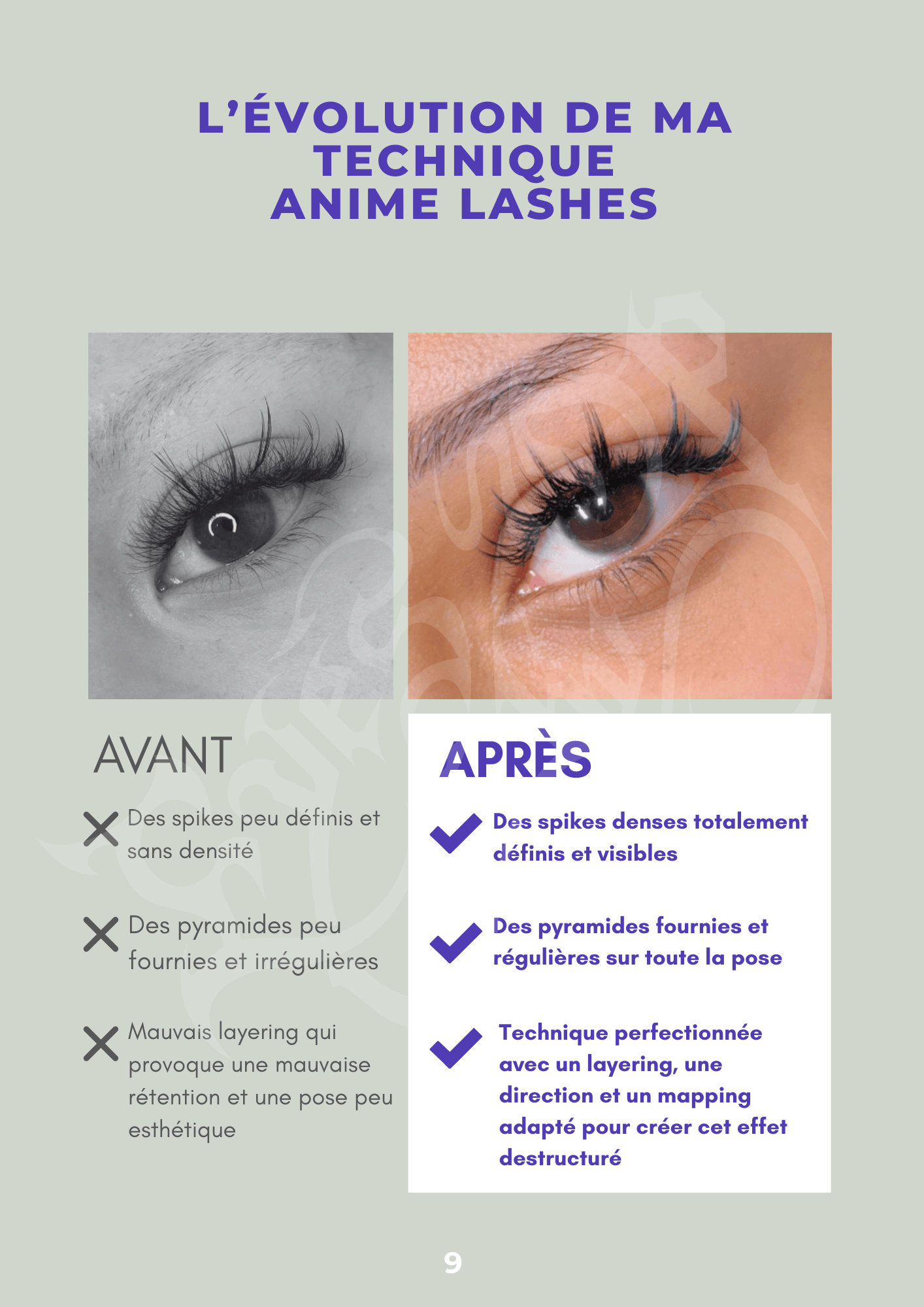 ebook_argument_anime_lashes_basics_course_2